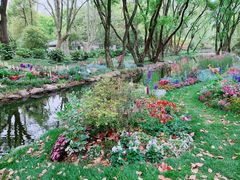 -上海共青森林公园