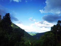 -海南热带雨林国家公园吊罗山景区