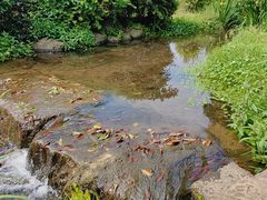 -中国茶叶博物馆(双峰馆区)