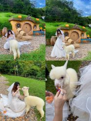 -花漾摄影优选工作室(东莞原创作品店)