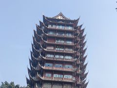 -眉山湿地公园(东坡区)