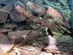 -兄弟俩老李家牛肉汤(总店)
