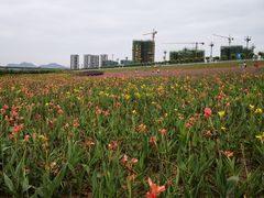 -羚羊峡古栈道森林公园