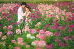 -1986婚纱摄影(清城店)