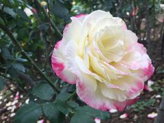 -人民公园(罗湖区)