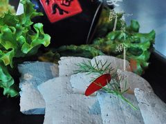 大隐石墨手工黑豆腐-大隐·成都火锅Bistro(合生麒麟新天地店)