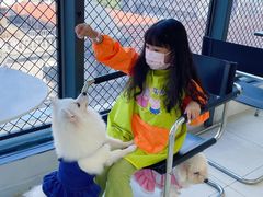 -怪兽屋·羊驼·猫咖·狗咖(俊华广场店)