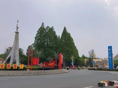 -水杉园