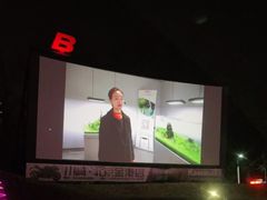 -枫花园汽车电影院(朝阳公园店)