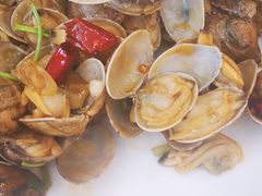 辣炒蚬子（斤）-老虎滩船说·海胆水饺·大连海鲜(老虎滩店)