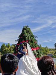 -圣露庄园·草坪婚礼·宴会厅·会议