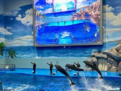 -福州罗源湾海洋世界旅游区