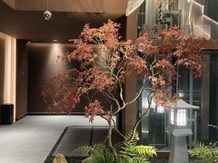 -椿杨樘·明康泡浴养生馆(重庆店)