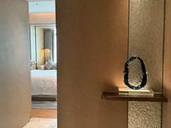 -深圳国际会展中心希尔顿酒店(前海华发冰雪世界店)