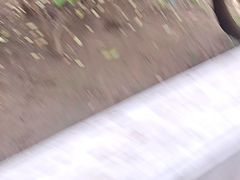 -故乡缘·香格里拉山庄(冷竹路店)