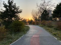 -莲花池公园