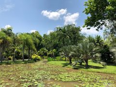-中国科学院西双版纳热带植物园