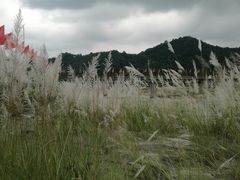 -海窝子古镇