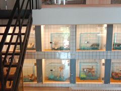 -猫狗日记·自助洗护·宠物寄养·售卖