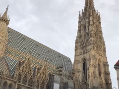-斯蒂芬主教座堂(Stephansdom)