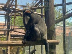 -石家庄市动物园