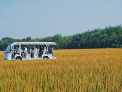 -良渚古城遗址公园