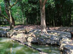 -兰亭风景区