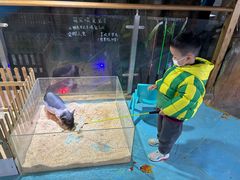 -嘉兴海底世界