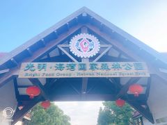 -上海海湾国家森林公园