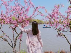-昆山城市公园