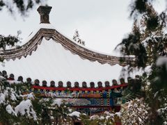 -地坛公园
