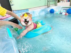 点击看大图 -趣游baby swim婴童游泳·盐氧护(旭辉u天地店)