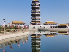 -金塔沙漠胡杨林景区