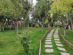 -济南国际园博园