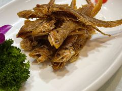 -金米箩大酒店(五角场店)