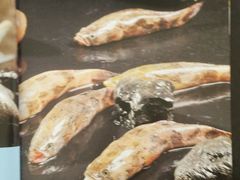 android_upload_pic-鱼乐火锅(清江国际店)