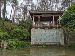 -千岛湖东南湖区