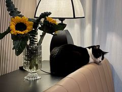 -路易时光(蕴川路店)