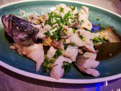 葱油淋鲈鱼-啫神·广州地标美食(北京路店)