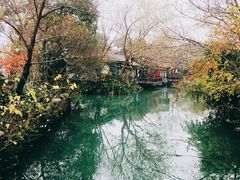 -西溪国家湿地公园