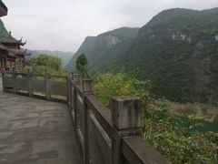 -武陵山森林公园