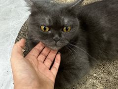 -爱诺耐芙动物医院(万博店)