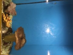 iphone_upload_pic-北戴河圣蓝海洋公园