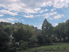 -野蔓果·山野菜(西湖景区·龙井茶田店)