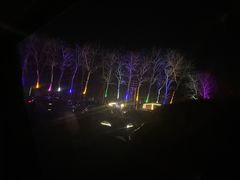 -枫花园汽车电影院(朝阳公园店)