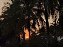 -曼听小寨岩香宰傣家美食城(勐海路店)