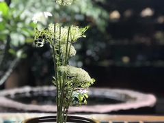 -白鹭原茶艺馆