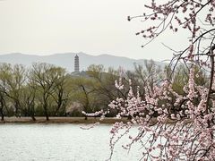 -颐和园