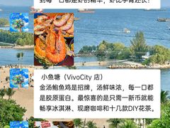 -圣淘沙天际线斜坡滑车