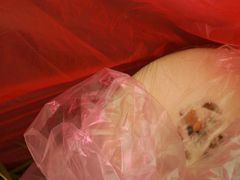 -嘉百乐超市(新东街店)